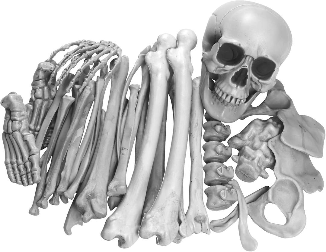 35 Pieces Skeleton Bones for Halloween Decoration - Plastic Bones Scary Props Decoration for Life Size Skull Bones Decor for Halloween Graveyard Scene Haunted Houses Outdoor Indoor