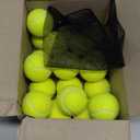 GOLDNITE Tennis Balls for Training and Dogs, Yellow 20 Pack Practice Tennis Ball with Mesh Bag for Transport and Beginner Exercise High Elasticity Durable Pet Playing Tennis Ball Set