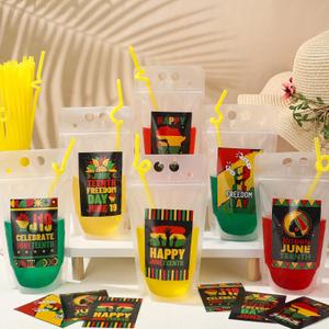 48 Set Happy Juneteenth Drink Pouches with Straws and Stickers African American June 19 Drink Bags Stand up Plastic Pouches for Freedom Day Juneteenth Party Decorations Supplies