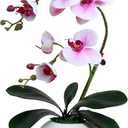 Forlaoers 17" Tall Purple Phalaenopsis Orchid Artificial Flowers Included Vase Faux Plant Potted for Indoor Home Decor Office Bathroom Wedding Decoration Table Centerpiece Arrangements Ornaments