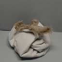 Ashler Faux Fur Rug, Beige Area Rugs, Fluffy Sheepskin Fur Rug, Fuzzy Ultra Soft 2 x 3 Ft Rugs, Machine Washable Shag Rug, Nursery Throw Rugs for Bed, Living, Kids Room