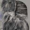 Bird Bath Heater with 10ft, Utility Submersible Aluminum Cast De-Icer Chicken Water Heater for Birdbaths in Winter (100W)