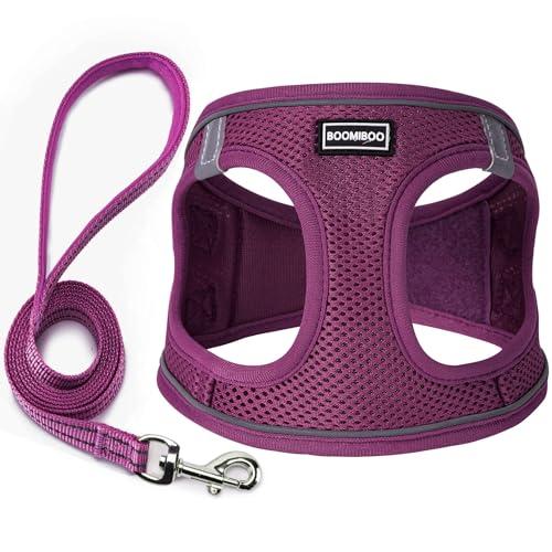 Dog Harness with Leash Set, No Pull Adjustable Reflective Step-in Puppy Pet Vest Harnesses for Small Medium Large Dogs and Cats,Cranberry XS
