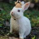 2 x Guinea Pig Turkey Hat - Mini Adjustable Strap, Lovely Handmade Rabbit Hat, Small Animal Clothes Accessories for Bunny Lizard Hamster Chinchilla Bearded Dragon