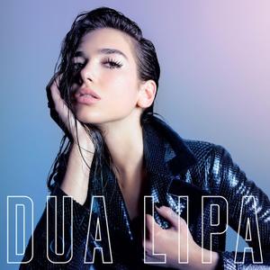 Dua Lipa Vinyl