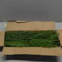 Alupssuc 18 Inch Norfolk Pine Stems, 12 Pcs Real Touch Norfolk Pine Branch, Christmas Greenery Stems for Vase DIY/Garland Making/Table Decoration, Christmas Decoration for Indoor, Outdoor & Home