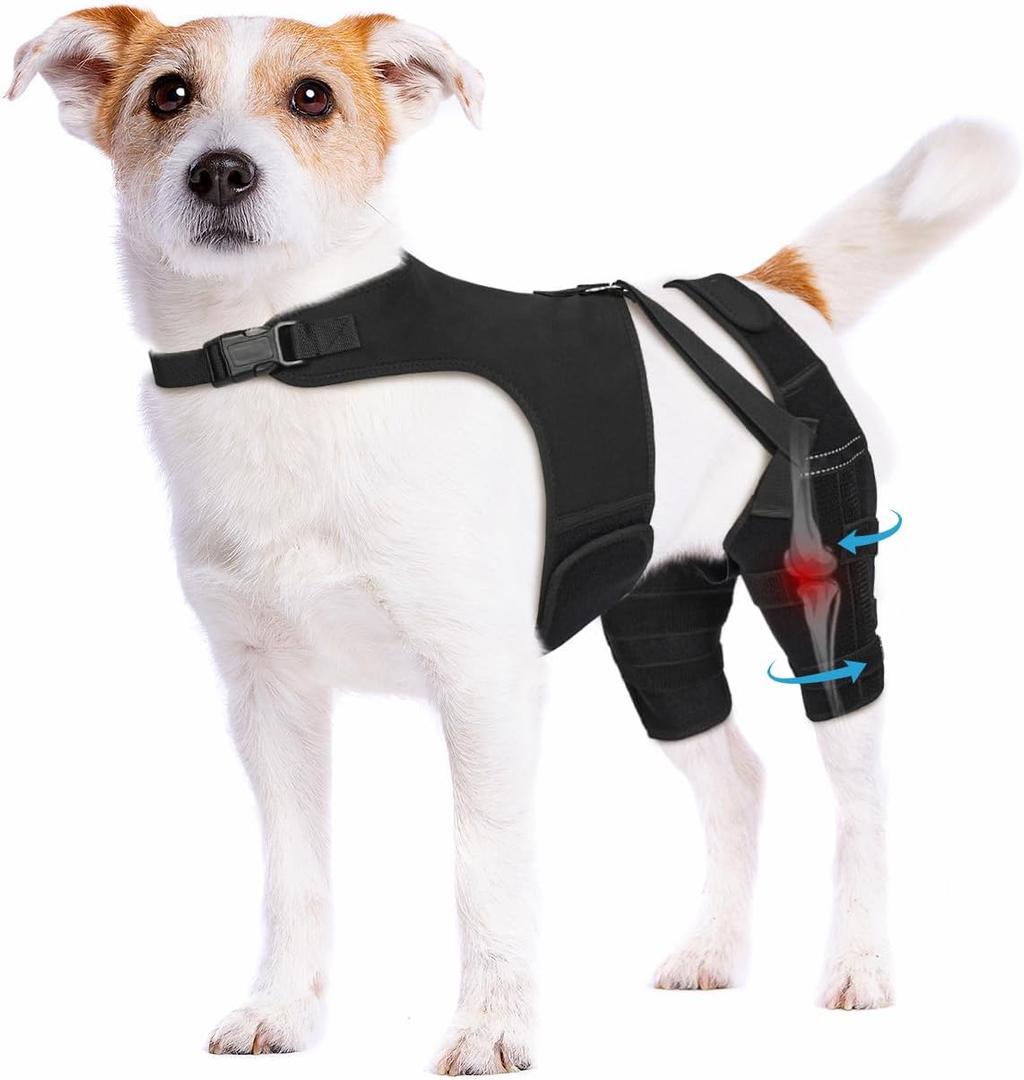 Dog Knee Brace for Torn ACL Hind Leg Dog Leg Brace with Metal Stabilizers for Dogs with Torn ACL, Luxating Patella, Ligament Injuries & Hip Dysplasia, Limping or Osteoarthritis Recovery, Small