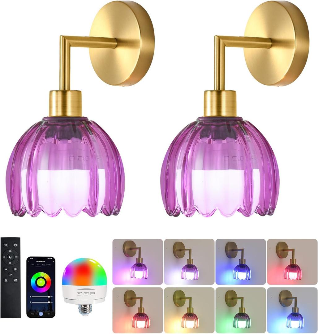 Battery Operated Wall Sconce Vintage Wall Lamp with Glass Lampshade,Wireless Wall Sconces Set of Two Rechargeable Battery Powered Wall Lights with Remote Control for Bedroom Living Room (WD-B8BE-GY0P)