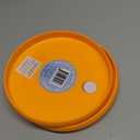 Orange Frisbee 8in 2 Pack