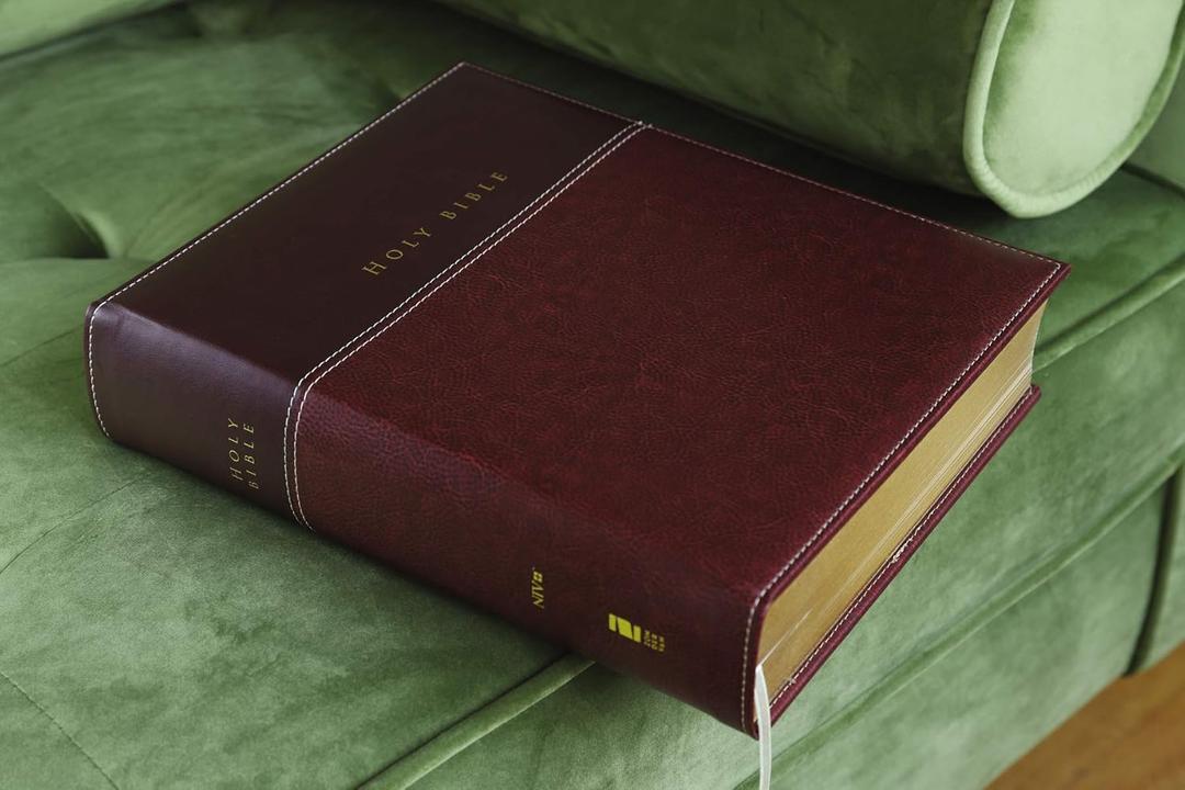 NIV Family Bible, Keepsake Edition by Zondervan (2012) Leather Bound