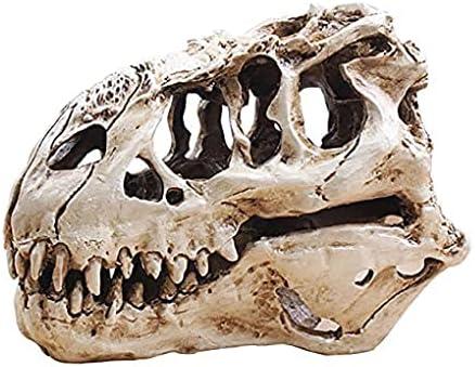 KODENG Tyrannosaur Skull T-Rex Skull Gifts Lifelike Resin Crafts Dinosaur Skull Fossil Teaching Skeleton Model Home Aquarium Decor (A)