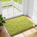 Merelax Modern Soft Fluffy Shaggy Rug for Bedroom Livingroom Small Chair Decor Rugs Feet Floor mats , Non-Slip Plush Furry Fur Area Rugs Comfy Nursery Accent Floor Carpet 2 X 3 Feet, Green