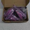 Feathered Wyvern Dragon, 3D Printed Dragon, Articulated Dragon, Fidget Dragon, 3D Printed Toys, Desktop Pet (Stellarscale)