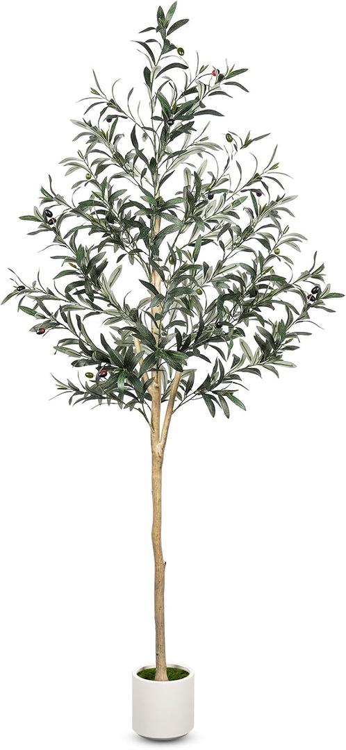 6FT Olive Tree Artificial Indoor with Natural Wood Trunk
Faux Olive Tree with Realistic Leaves , Lifelike Olives and Sturdy Base，Fake Olive Tree for Home Decor Office Living Room