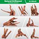 Driftwood for Aquarium Natural Aquarium Wood for Aquascaping Fish Tank Decorations Reptile Tank Decor (Natural Driftwood 12-16" 1 Pack+Protein Cotton)
