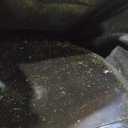 CRAFTSMAN 2X V20 BRUSHLESS RP 21" Rear Wheel Driver Mower, Self-Propelled, (2) 9.0Ah Batteries and (2) Chargers Included (CMCMWSP320X2)