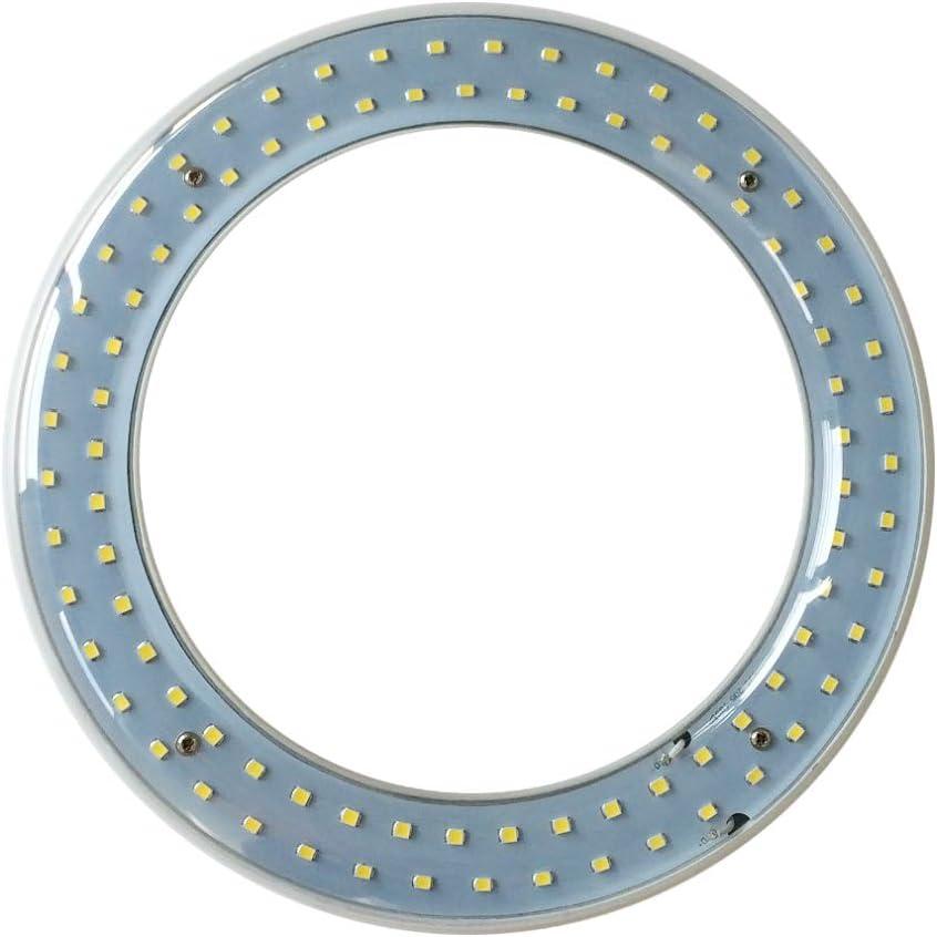 T9 LED Circline Light Bulb, 8 Inch 1600LM LED Circular Light, 13W Clear Cover 6000K Daylight Replacement for FC8T9/CW 22-Watt Fluorescent Circular Bulb(FC8T9/CW), Ballast Bypass Required