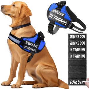Bcadem Service Dog Vest,8 Dog Patches No-Pull Service Dog Harness with Handle,Personalized Reflective Dog Vests with 1 Pen Custom Name,Phone Number,Pattern,Easy Control for Large Pets (Blue)