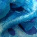 Spooktacular Creations Halloween Dinosaur Costume Kids, T-Rex Costume Outfit with Egg for Toddler Child Dress Up Party (3T (3-4 YRS), Blue)