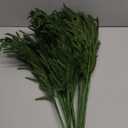 Jutom Christmas Norfolk Pine Branches, Artificial Norfolk Branch Faux Plants Greenery Stem Pine Picks for Christmas Vase DIY Crafts Centerpiece Garland Wreath Home Decor (12 Pcs,18 Inches)