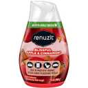 Renuzit - 1717587 Blissful Apple & Cinnamon Adjustable Gel Air Freshener, 7oz Cone (Pack of 12)