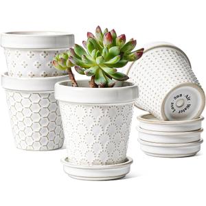 LE TAUCI Ceramic Succulent Pots, 3 Inch Flower Pots for Indoor Plant Cactus, Embossed Small Plant Pot with Drainage Holes & Saucer, Home Decor - Set of 4, Arctic White