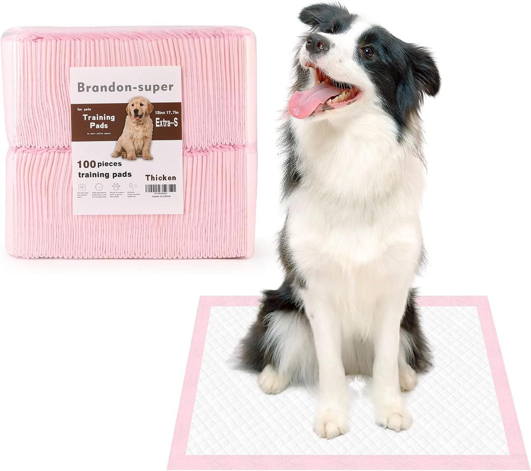 Super-Absorbent Leak-Proof Dog and Puppy Pet Training Pad, Housebreaking Puppy Pads Disposable (13" X 18"-Extra-Small 100PCS)