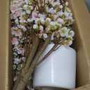 Caxchiling Cherry Blossom Tree 6FT, Artificial Pink Tree Indoor with White Planter, Faux Potted Silk Plant for Home, Office, Wedding, Garden, Party, Hotel Decoration
