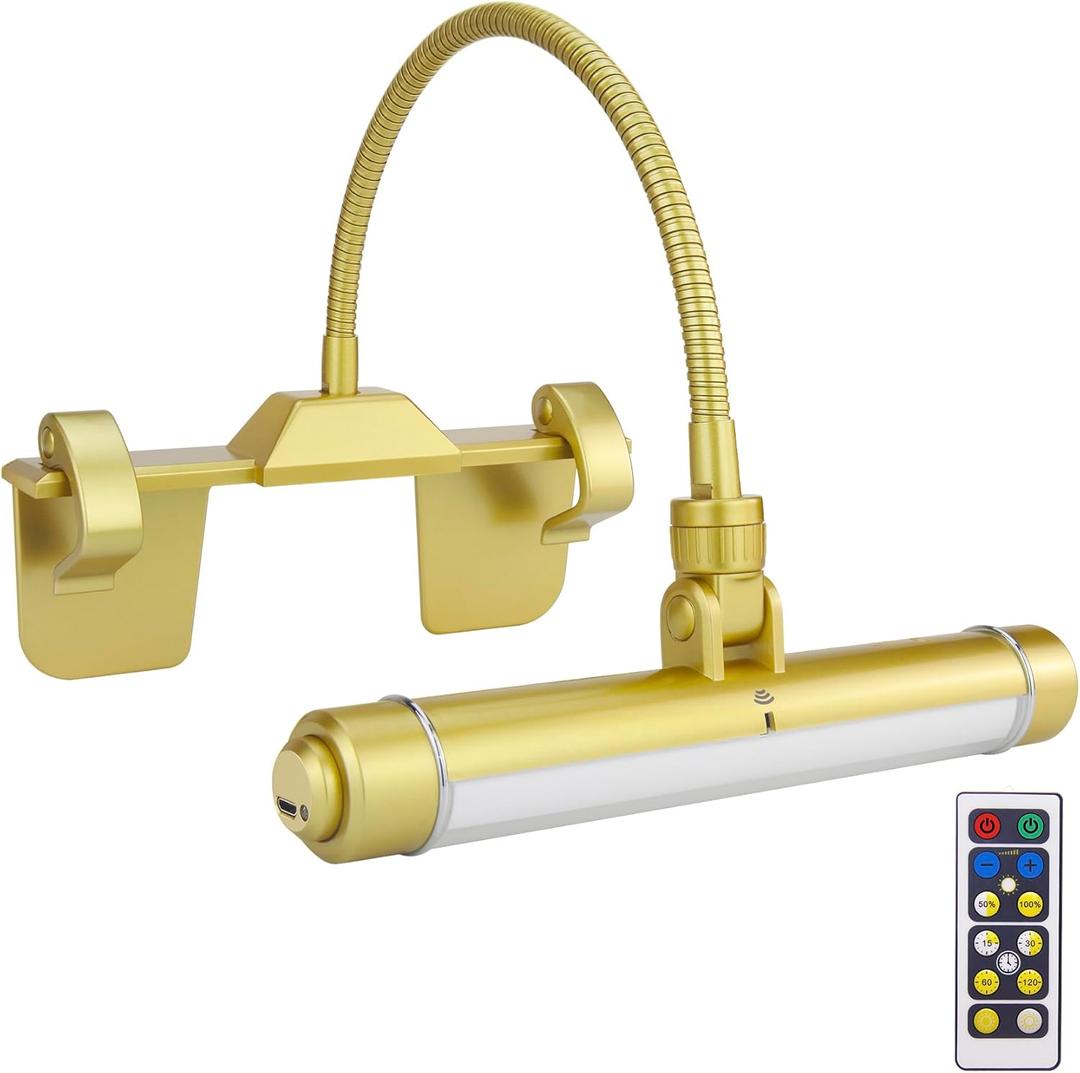 HONWELL Painting Lights Cordless, Dartboard Light with Remote, Rechargeable Picture Light, Picture Frame Lights with 3 Modes 28 LEDs Rotate Head, 360 Flexible Neck,Clip on Display Light for Artwork (Gold)