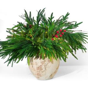 Norfolk Pine Branches, 12pcs Artificial Plants Norfolk Garland Real Touch Artificial Pine Branches Christmas Greenery, DIY Crafts for Xmas Indoor Outdoor Home Party New Year Decor