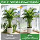 HiGift 10 Pack 24" H x 10" W Tall Plant Support Stakes, Half Round Metal Peony Cages and Supports, Monstera Plant Support Snake Plant Stake Flower Support Ring for Tomato, Hydrangea Outdoor Indoor