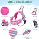 Lukovee No Pull Dog Harness and Leash Set, Soft Padded Small Dog Harness, Neck & Chest Adjustable Reflective Vest Puppy Harness with 4ft Lightweight Anti-Twist Dog Leash for Small Dogs (XS, Fuschia)