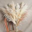 10 Stems 30" inch Dried Pampas Grass Decor Tall, Large Pompas Grass, Boho Neutral Home Decor Bouquet, Fluffy Pampass Grass for Floor Vase Wedding Floral Arrangements Wall Farmhouse Table Decor