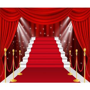 Red Carpet Backdrop 10x8ft Fabric Movie Night Party Decoration Backdrops VIP Birthday Pictures Award Ceremony Graduation Prom Events Backdrop Wedding Banquet Photos