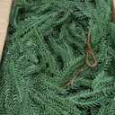 12FT(2 * 6FT) Christmas Norfolk Pine Garlands, Winter Decor Real Touch Pine Garland, Artificial Greenery Xmas Garland for Holiday, Table, Wall, Fireplace, Mantel, Indoor & Outdoor Decoration (2 Pack)