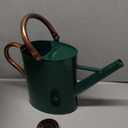 1 Gallon Metal Watering Can with Removable Spout, Nice Galvanized Steel Water Can with Embossed Design for Indoor and Outdoor Plants (Green)