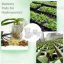 OMISTAR 8 Pcs Clear Plant Pots with Drainage - Clear Nursery Pots with Drainage Holes, Ideal for Lily Plants, Height 3-6 Inches Lightweight and Stackable Design for Efficient Growth