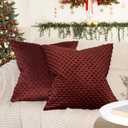 PHF Minky Dot Euro Sham Covers 26"x 26", 2 Pack Soft Cozy Minky Bubble Real Velvet Throw Pillow Covers, No Insert,Home Decorative Euro Pillow Cases for Couch Sofa Bed, Wine Red
