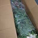 6FT Artificial Ficus Tree Faux Plants Indoor with White Pot | Lifelike Dense Leaves, Easy Snap-fit Assembly, No Watering, No Pruning, Faux Ficus Trees for Living Room Office