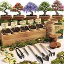 Planter's Choice Bonsai Tree Starter Kit - Unique Easter Gifts for Women, Men - Birthday Gifts for Adults - Indoor Live House Plants - DIY for Adults Craft Kits - Hobby Gift Gardening Lovers