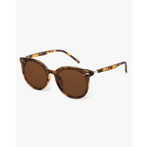 Livho Polarized Sunglasses, Retro & Oversized Shades for Women with Round Lenses