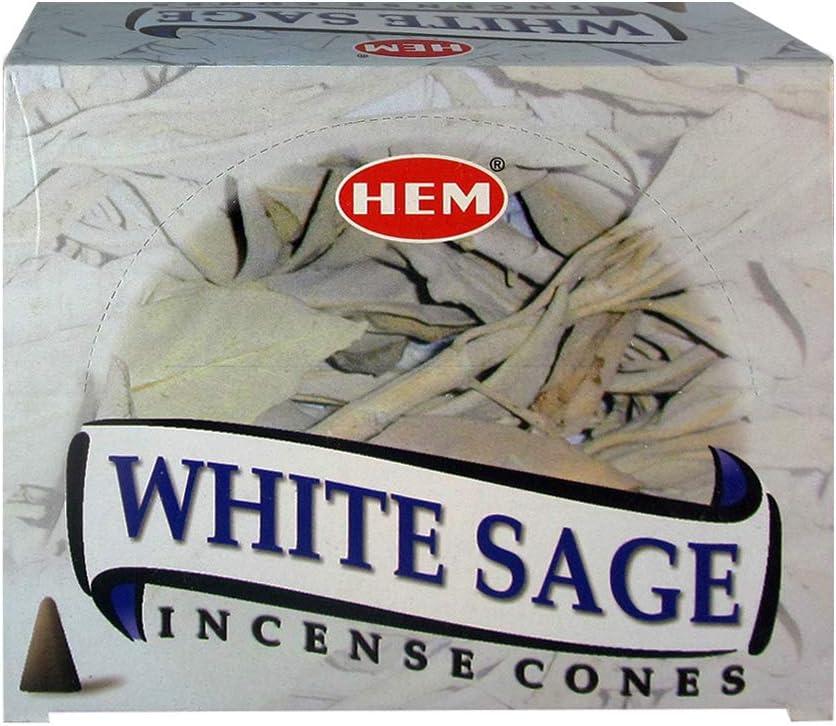 White Sage Incense Cones and Cone Incense Burner Bundle Insence Insense Hem Incense