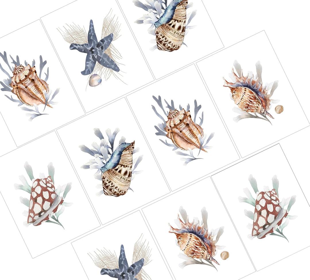 Sea Shell Greeting Cards - Set of 10 All Occasion 5 x 7 Note Cards with Envelopes. Blank Inside. Watercolor Designs of Seashells, Starfish and Coral