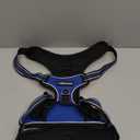 rabbitgoo Dog Harness No Pull with 2 Leash Clips, Adjustable Soft Padded, Reflective Oxford No Choke Pet Vest with Easy Control Handle for Large Dogs, Dazzling Blue, XL