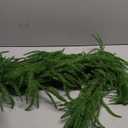 Christmas Garlands Norfolk Pine Garland Real Touch Artificial Faux Greenery Garland for Holiday Table Mantle Wall Indoor Outdoor Decor 5FT (5 ft (1 Pack- Young ))