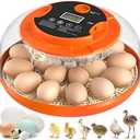 18 Egg Incubator with Automatic Egg Turning and Humidity Control, Incubators for Hatching Eggs, Chicken, Ducks, Goose, Pigeon, Quail, Parrot Incubator for Farm, Lab, Science Classroom, Home (Orange)