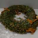 Dingion 2 Pack 20 Inch Fall Wreath for Front Door Boxwood Wreath with Bow