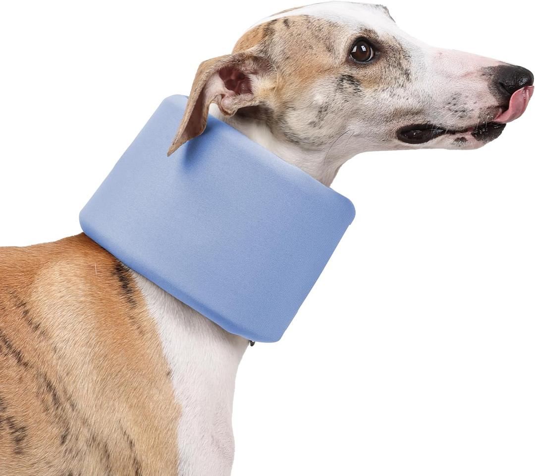 Dog Neck Brace for Pet After Surgery Recovery Adjustable Breathable Neck Cervical ConeDog Cone Collar Recovery Head Cone for Small Medium Dogs Puppies Kittens with Spinal IVDD Lssues (XS, Blue)
