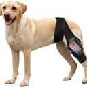 Dog Knee Brace for Torn Acl Hind Leg, Relieves Ligament Injury and Joint Pain, Adjustable Leg Support Bracket for Warmth and Support (Size M)