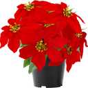 Poinsettia Plants Artificial 9 Heads 14 Inch Fake Poinsettias Christmas Flowers in Pot for Home Porch Office Indoor Outdoor Christmas Winter Decorations Red (1PC)